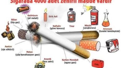 “Alkol ve Sigaranın Sağlık Üzerindeki Etkileri”